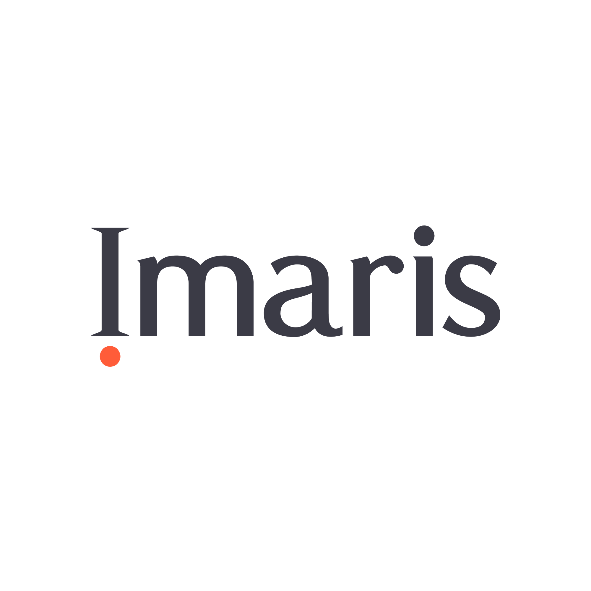 Imaris, digital agency