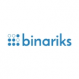 Binariks Inc