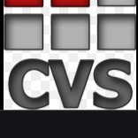 Computer Voice Systems